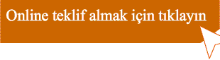 tyvek kağıt kolbandı